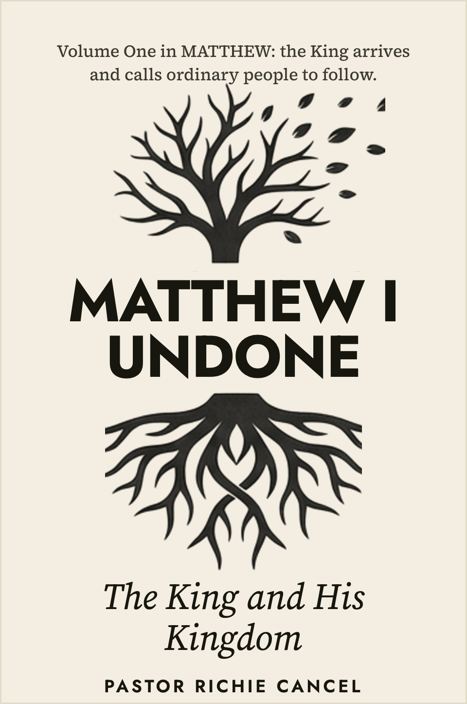 Matthew Vol. 1 Devotional cover