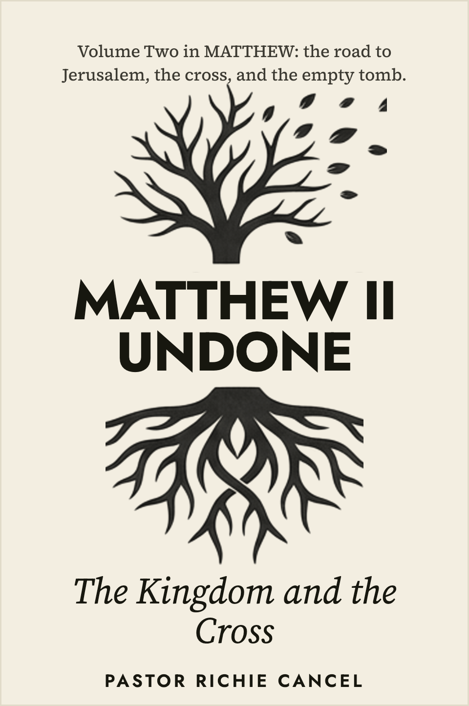 Matthew Vol. 2 Devotional cover