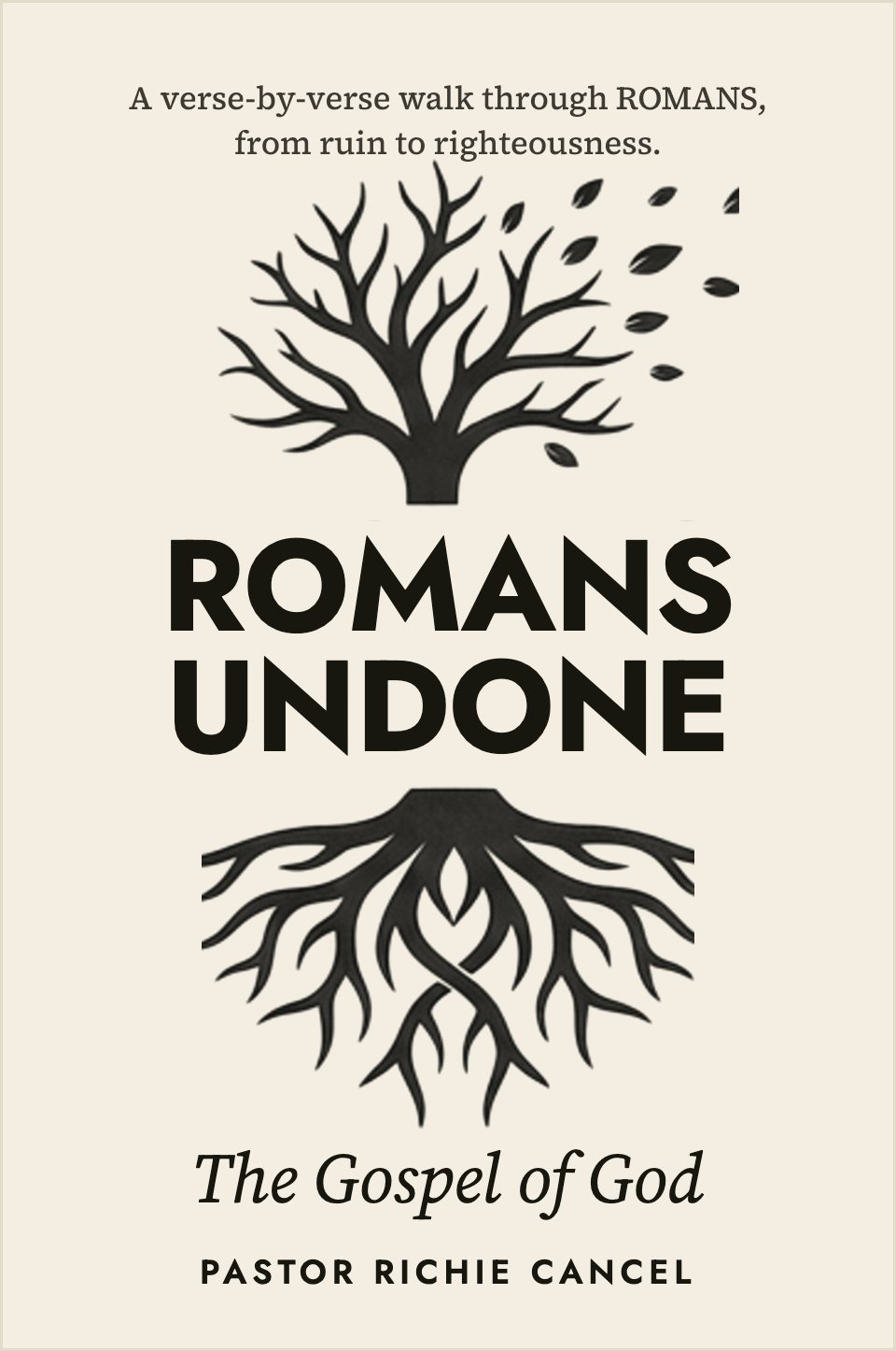 Romans Devotional cover
